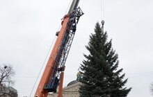 Фото 21: У Львові встановили головну новорічну ялинку: за тиждень її урочисто відкриють