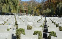 Фото 5: На львівських кладовищах впорядковують могили Січових стрільців: реставрація 703 могил на Янівському цвинтарі на завершенні