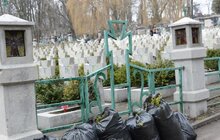 Фото 22: У Львові триває загальноміське прибирання