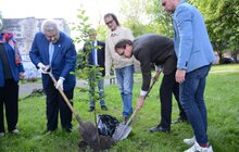 Фото 3: У Замарстинівському сквері висадили перше символічне дерево, ознаменувавши старт його реконструкції