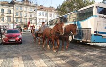 Фото 9: Марш слави захисників Руси-України