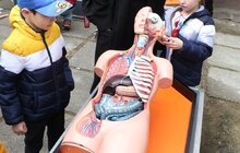 Фото 15: На шкільних ярмарках з нагоди Дня міста зібрали 1 мільйон 225 тисяч гривень для ЗСУ