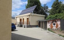 Фото 12: У Львові відомі спортсмени допомагали безпритульним тваринам