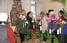 Фото 4: Одинокі львів’яни літнього віку побували на виставці орхідей