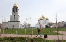 Фото 7: У Львові висадили 20 сакур, які місту подарувало Посольство Японії