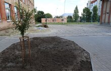 Фото 11: Робочі наради мера Львова у мікрорайоні вул. Пасічної