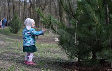 Фото 7: У Стрийському парку відкрили Пагорб пам’яті полеглих захисників