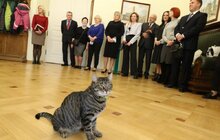 Фото 1: Міський голова відзначив фармацевтів з нагоди професійного свята