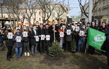 Фото 25: В рамках міжнародного проєкту «Озеленення планети» на площі Соборній висадили перші дерева