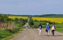 Фото 2: Цими вихідними молодь йтиме на ХХІ Міжнародну молодіжну пішу прощу «Львів – Унів»