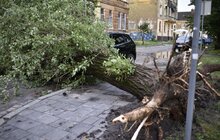 Фото 21: Аварійні бригади оперативно ліквідовують наслідки негоди в місті