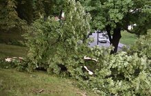 Фото 26: Аварійні бригади оперативно ліквідовують наслідки негоди в місті