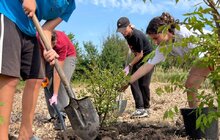 Фото 7: У Лисиничах облаштовували екопростір у межах Майстерні міста