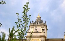 Фото 8: У Львові висадили тюльпанове дерево на честь 25-річчя візиту Папи Івана Павла ІІ