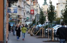 Фото 6: 41 нове дерево висаджують у центральній частині Львова: завдяки спонсорам зможуть закупити 50 дронів