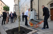 Фото 4: Девід Камерон у Львові залишив запис у Книзі почесних гостей та висадив дерево