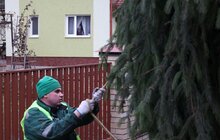 Фото 10: У центрі Львова встановили головну ялинку міста (відео)