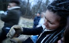Фото 4: Містяни долучилися до випуску у природу близько 300 врятованих кажанів