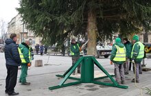 Фото 17: У центрі Львова встановили головну ялинку міста (відео)