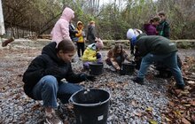 Фото 10: Котівничка з зеленим дахом та висадка дерев: як у Львові минув Тиждень сталої енергії (відео)