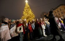 Фото 2: У Львові засвітили головну ялинку міста (відео)