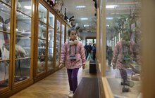 Фото 39: Міжнародний день музеїв у Львові відвідали майже 13 тисяч осіб