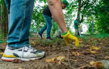 Фото 5: В межах Всесвітного дня прибирання у Львові зібрали 16 тонн сміття