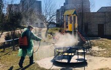Фото 50: Комунальні служби Львова проводять миття та дезінфекцію в місті