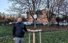 Фото 3: У місті висаджують дерева, подаровані спонсорами