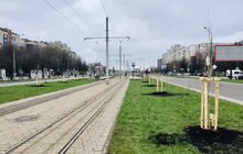 Фото 5: На вихідних у Львові висадили дерева у межах акції «Озеленення планети»