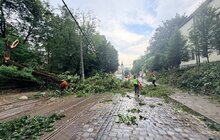 Фото 21: У Львові оперативно ліквідовують наслідки негоди: повалені дерева, обірвані мережі та зміни в русі транспорту (відео)