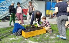 Фото 1: У Львові мешканці модульного містечка висадили грядки