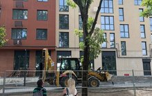 Фото 1: На вул. Липинського, 56 забудовника зобов’язали розчистити стовбури дерев і огородити їх