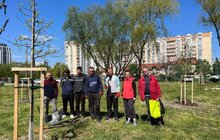 Фото 1: У Шевченківському районі Львова висадили 22 дерева