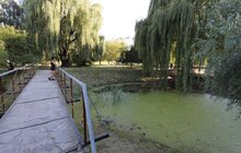 Фото 13: Озеро на Панча почнуть реконструювати вже у вересні