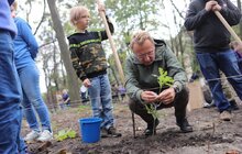 Фото 15: Сьогодні в одному із парків Львова висадили понад 400 дерев