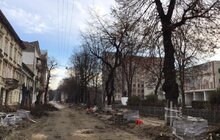 Фото 13: «В підсумку, дерев стане більше, а заміні підлягає трохи більше 40% озеленення вулиці», — О. Сладкова про роботи на вул. Пекарській