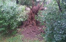 Фото 5: Наслідки негоди комунальні служби ліквідовують сьогодні, працюватимуть й завтра