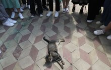 Фото 17: Учням, які отримали 600 балів на цьогорічному тестуванні, виплатять по 15 тисяч гривень