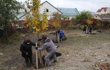 Фото 28: У Львові висадили 96 іменних дерев, присвячених загиблим Героям