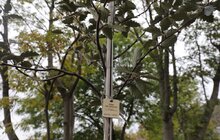 Фото 31: У Львові висадили 96 іменних дерев, присвячених загиблим Героям