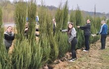 Фото 1: На Голосківському цвинтарі висадили 5 кленів та 120 ялівців