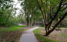 Фото 7: У місті триває реконструкція Замарстинівського парку для реабілітації військових та інших пацієнтів