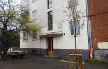 Фото 5: 10 дерев уже висадили у Франківському районі в межах акції «Подаруй місту дерево»