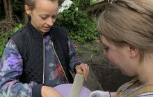 Фото 4: Лучні квіти і трави: у львівському парку засіяли різнотрав’я