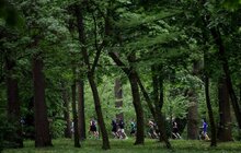 Фото 11: У Львові вдруге відбувся півмарафон Національної академії сухопутних військ