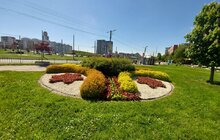 Фото 8: Сихів у квітах: на території району облаштовують квіткові композиції