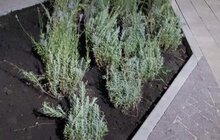 Фото 6: На вул. Генерала Чупринки облаштували новий громадський простір