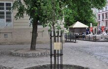 Фото 1: А. Садовий: «Львів’яни повинні добре знати всіх львів’ян, які в тій чи іншій частині світу працюють, думають і є корисні для міста Львова» 