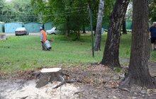 Фото 2: У Львові розпочав роботу екологічний патруль